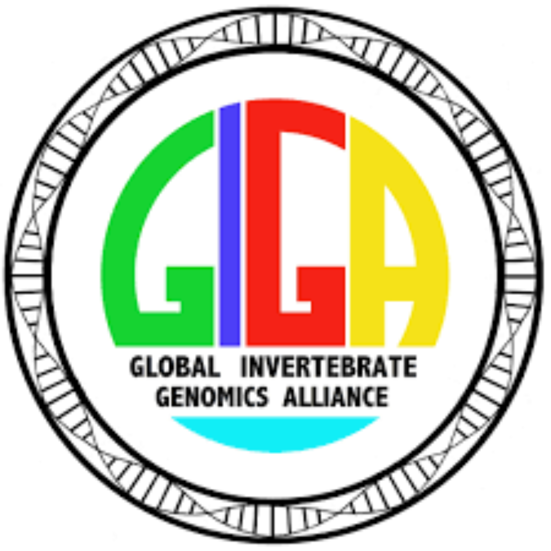Global Invertebrate Genomics Alliance