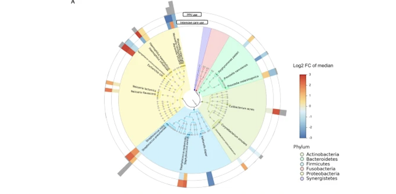 Relationship of abundant microbial species with the risk of higher severity in infants hospitalized for bronchiolitis.