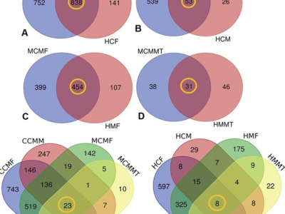 Taxonomic composition of bacteriomes. Venn diagrams representing the core unique and shared microbiomes in cows faecal material and milk samples, and mouse faecal material and mammary tissues. Bacterial species detected in A cows faecal material, B cows milk, C mouse faecal material and D mouse mammary tissues. E Unique and shared bacterial species in CM, and F unique and shared bacterial species in H metagenomes of both cows and mice. Bacterial species shared in cow and mouse mastitis