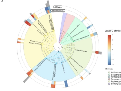 Relationship of abundant microbial species with the risk of higher severity in infants hospitalized for bronchiolitis.