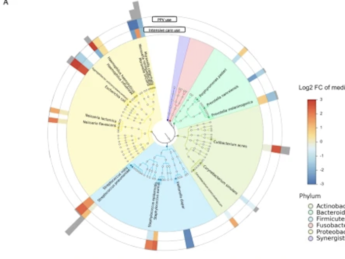 Relationship of abundant microbial species with the risk of higher severity in infants hospitalized for bronchiolitis.